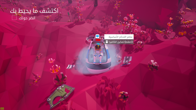 صورة من اللعبة